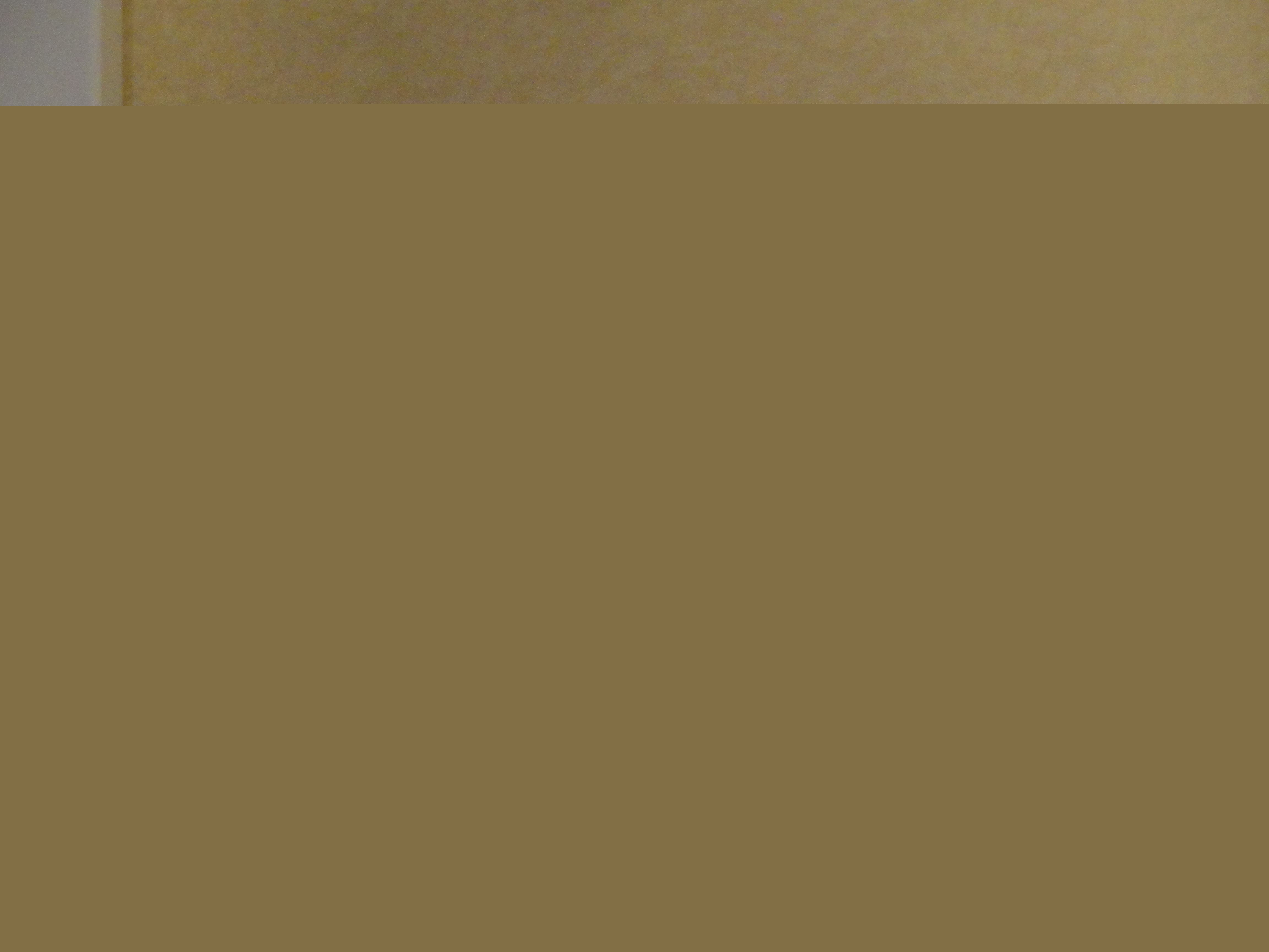 DSC01567